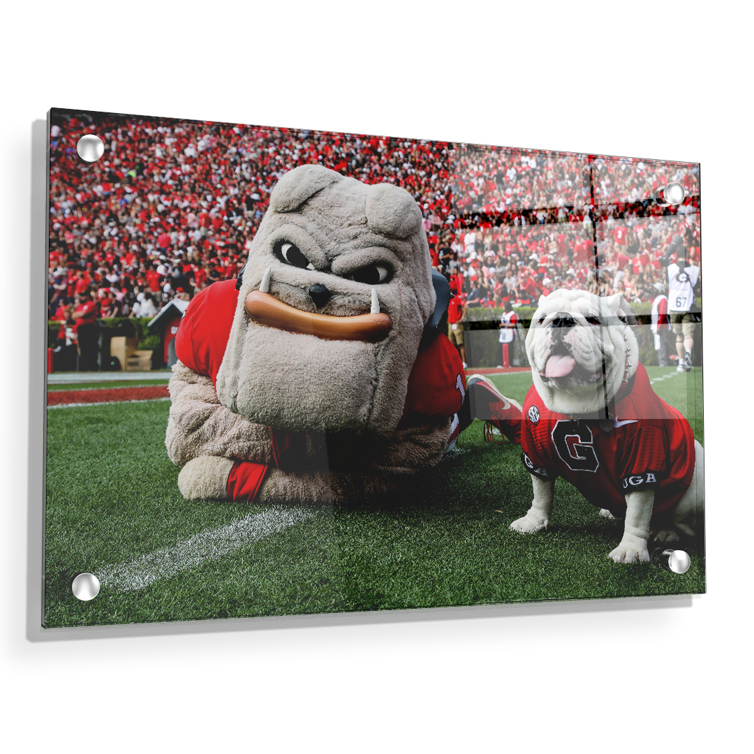 Georgia Bulldogs - Hairy and Uga Game Ready - College Wall Art #Acrylic