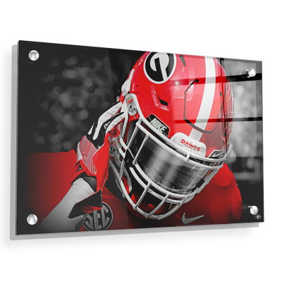 Georgia Bulldogs - Strap It Up UGA - College Wall Art #Acrylic