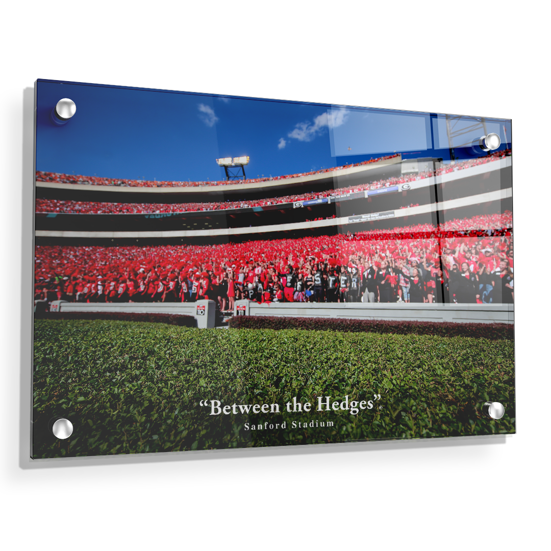 Georgia Bulldogs - Between the Hedges UGA - College Wall  Art #Canvas