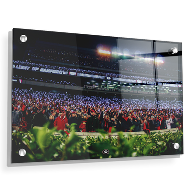 Georgia Bulldogs - Light Up Sanford - College Wall Art #Acrylic