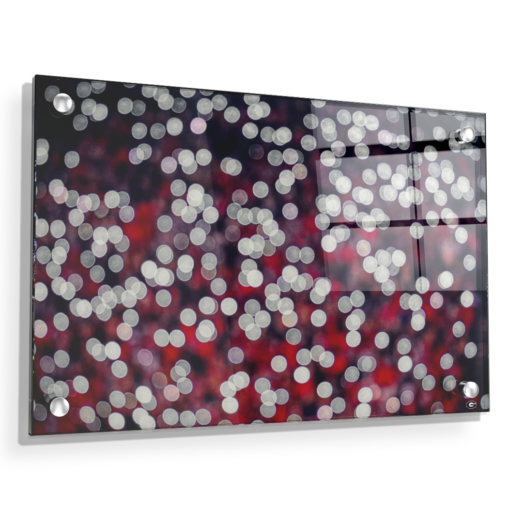 Georgia Bulldogs - Sanford Lights - College Wall Art #Canvas