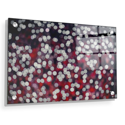 Georgia Bulldogs - Sanford Lights - College Wall Art #Acrylic