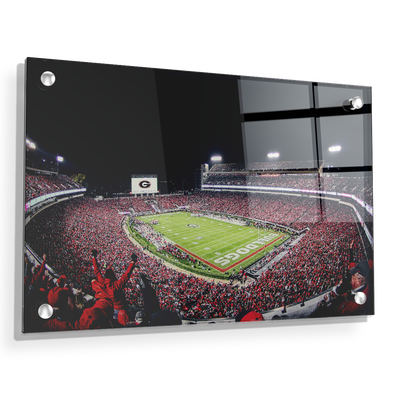 Georgia Bulldogs - Sanford Stadium II - College Wall Art #Acrylic