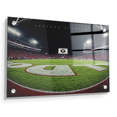 Georgia Bulldogs - Sanford Stadium End Zone - College Wall Art #Acrylic