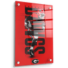 Georgia Bulldogs - Georgia Dawgs - College Wall Art #Acrylic