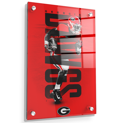 Georgia Bulldogs - Georgia Dawgs - College Wall Art #Acrylic