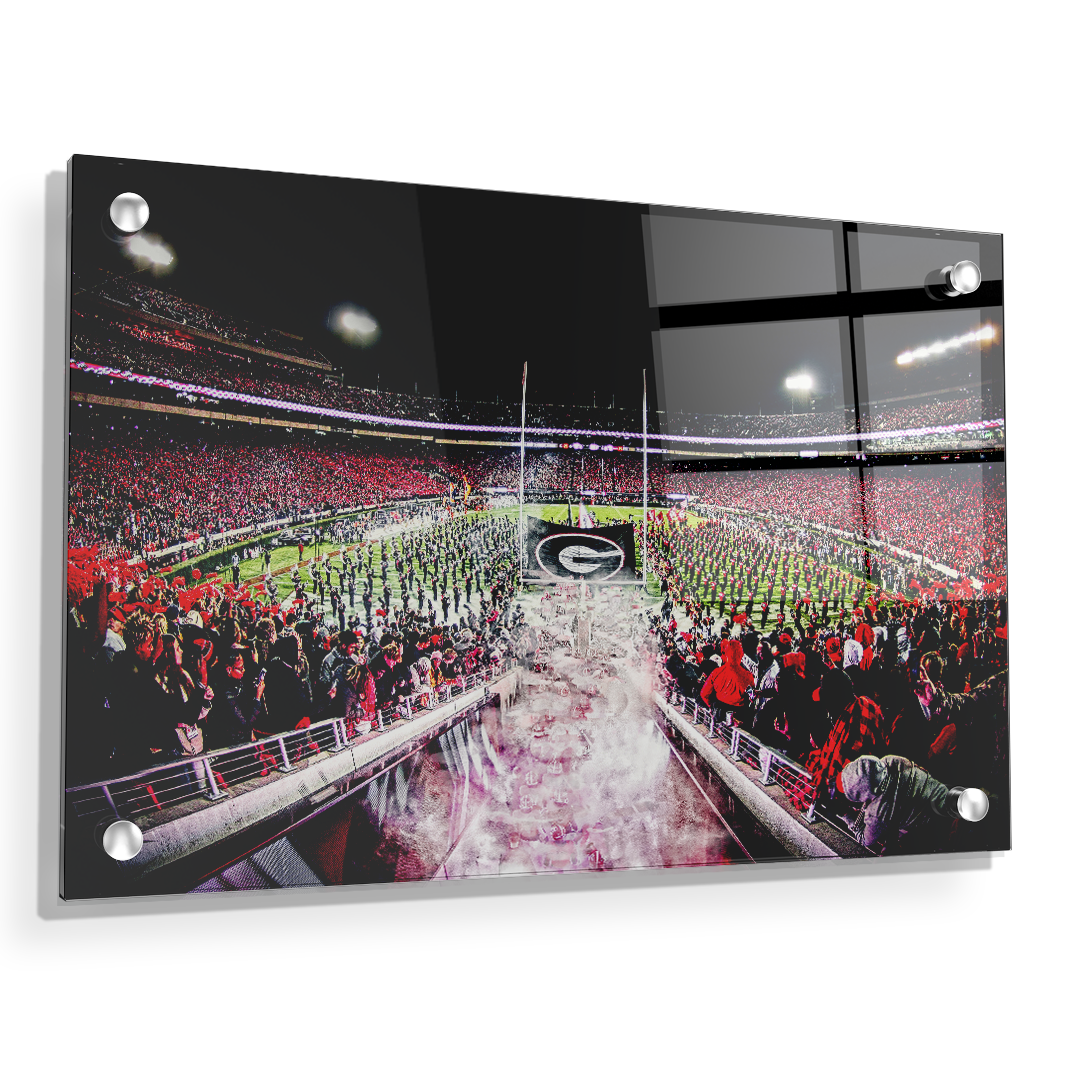 Georgia Bulldogs - Dawg Entrance - College Wall Art#Canvas