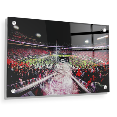 Georgia Bulldogs - Dawg Entrance - College Wall Art#Acrylic