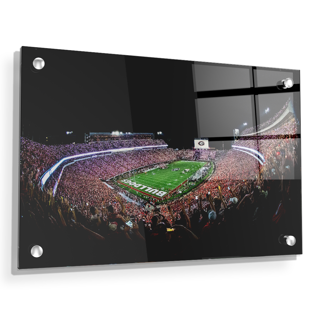 Georgia Bulldogs - Aerial Sanford Lights - College Wall Art #Canvas