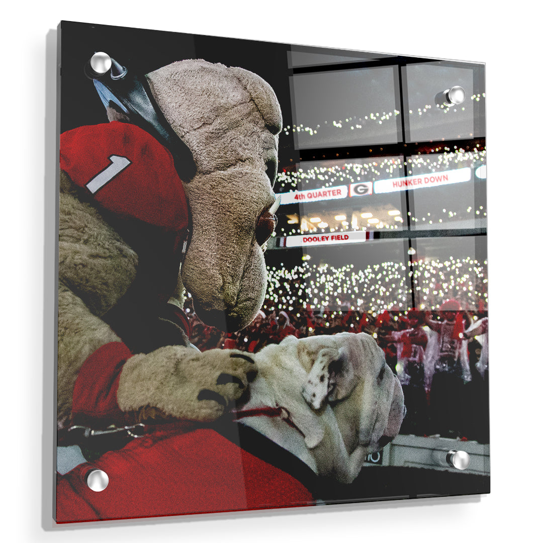 Georgia Bulldogs - It's 4th Quarter - College Wall Art #Canvas