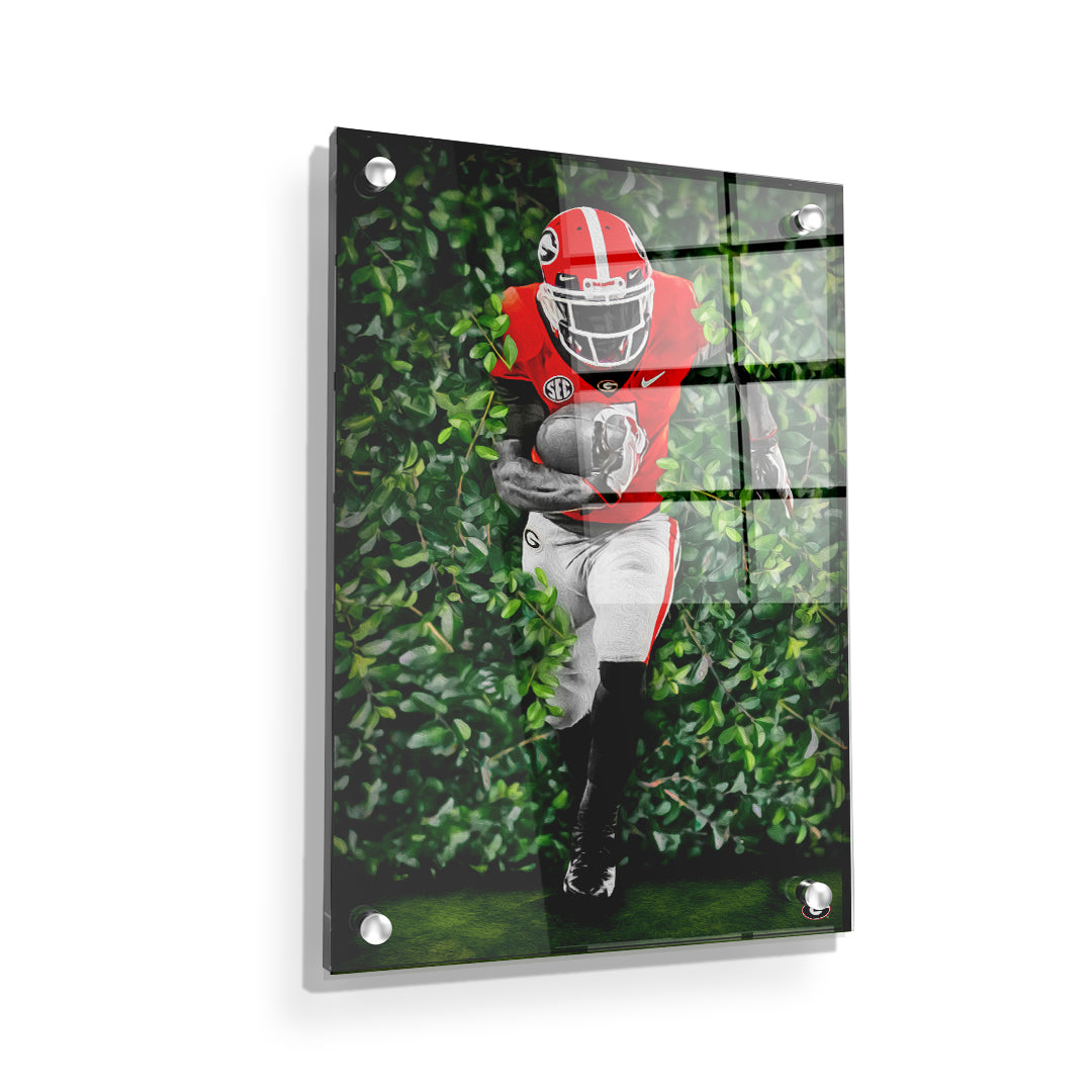 Georgia Bulldogs - Through the Hedges Oil Painting - College Wall Art #Canvas
