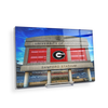 Georgia Bulldogs - Sanford Stadium - College Wall Art #Acrylic Mini