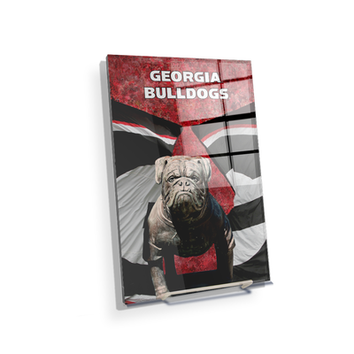 Georgia Bulldogs - Georgia Bulldogs - College Wall Art #Acrylic Mini