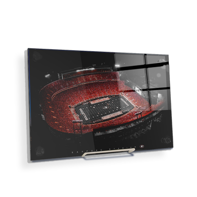 Georgia Bulldogs - UGA Sanford Stadium - College Wall Art #Acrylic Mini