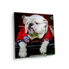 Georgia Bulldogs - Uga Chillin - College Wall Art #Acrylic Mini