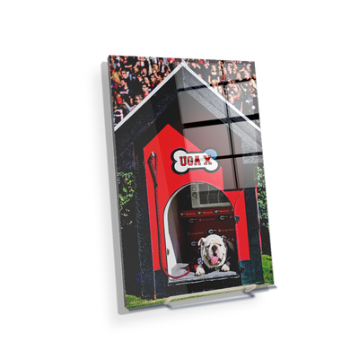 Georgia Bulldogs - Uga X in the House - College Wall Art #Acrylic Mini