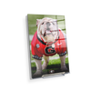 Georgia Bulldogs - Uga Poised II - College Wall Art #Acrylic Mini