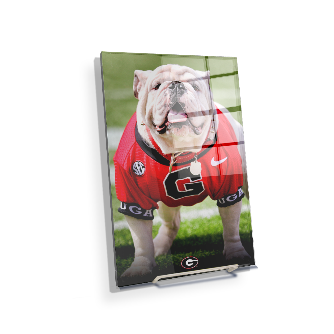 Georgia Bulldogs - Uga Poised II - College Wall Art #Canvas