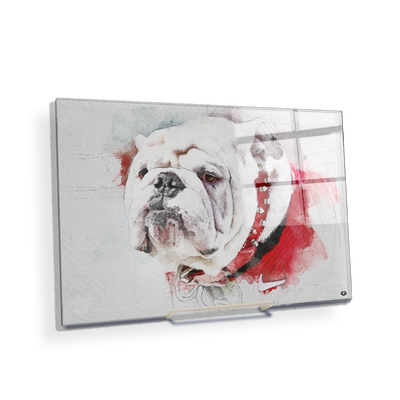 Georgia Bulldogs - Uga Painting - College Wall Art #Acrylic Mini