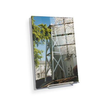 Georgia Bulldogs - Spring Bell Tower - College Wall Art #Acrylic Mini