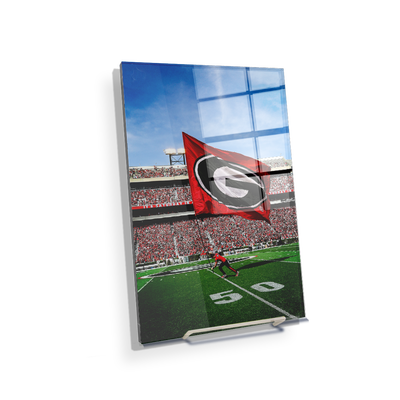 Georgia Bulldogs - The G Flag - College Wall Art #Acrylic Mini