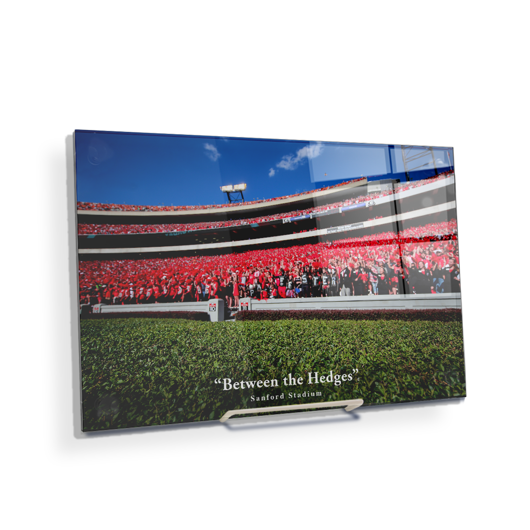 Georgia Bulldogs - Between the Hedges UGA - College Wall  Art #Canvas