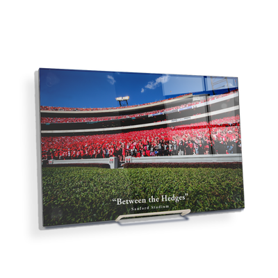 Georgia Bulldogs - Between the Hedges UGA - College Wall Art #Acrylic Mini