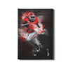 Georgia Bulldogs - UGA Football - College Wall Art #Canvas