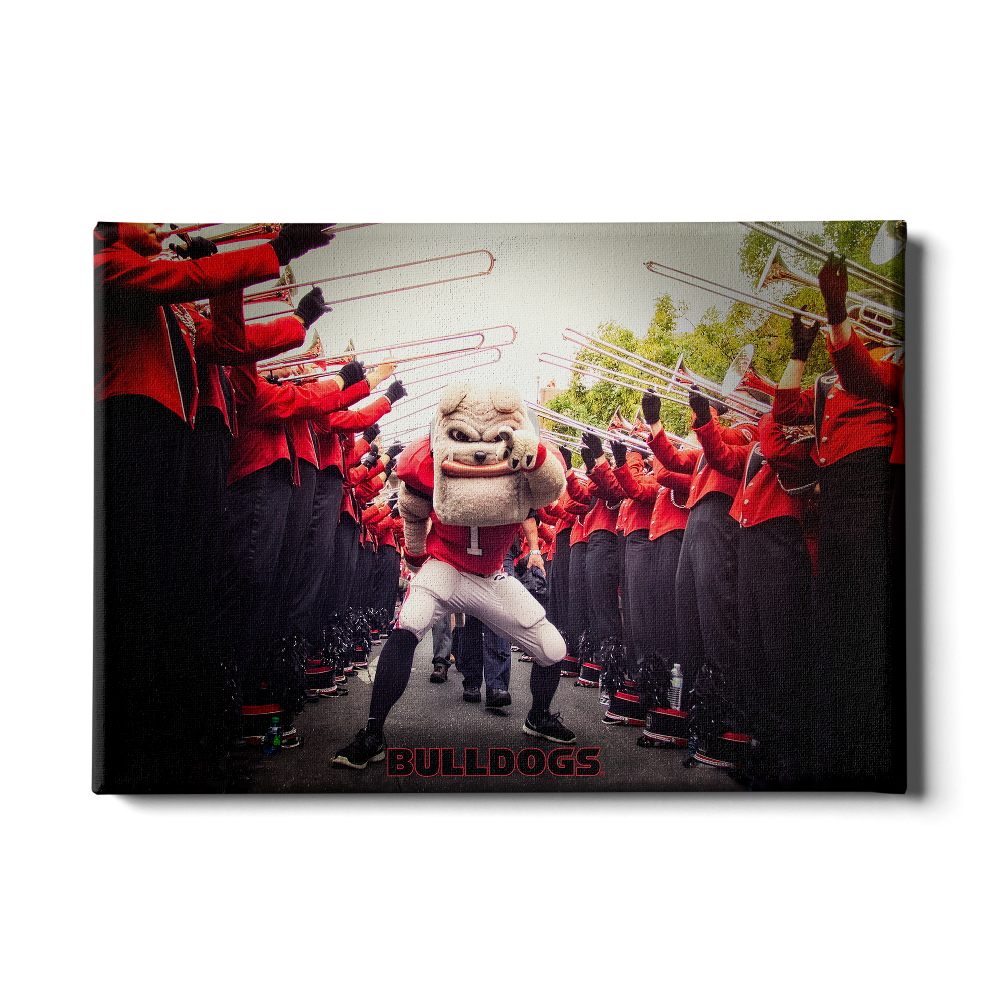 Georgia Bulldogs - Dawg Walk - College Wall Art #Canvas