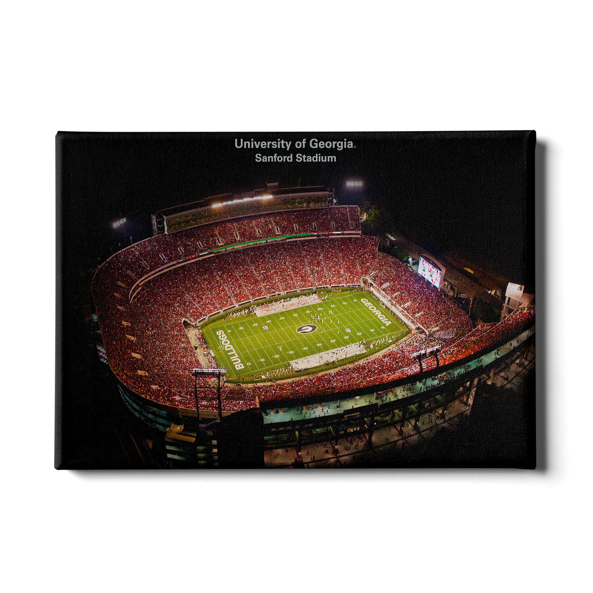 Georgia Bulldogs - University of Georgia Sanford Stadium - College Wall Art #Canvas