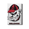 Georgia Bulldogs - Bulldogs - College Wall Art #Canvas