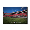 Georgia Bulldogs - Georgia Football - College Wall Art #Canvas