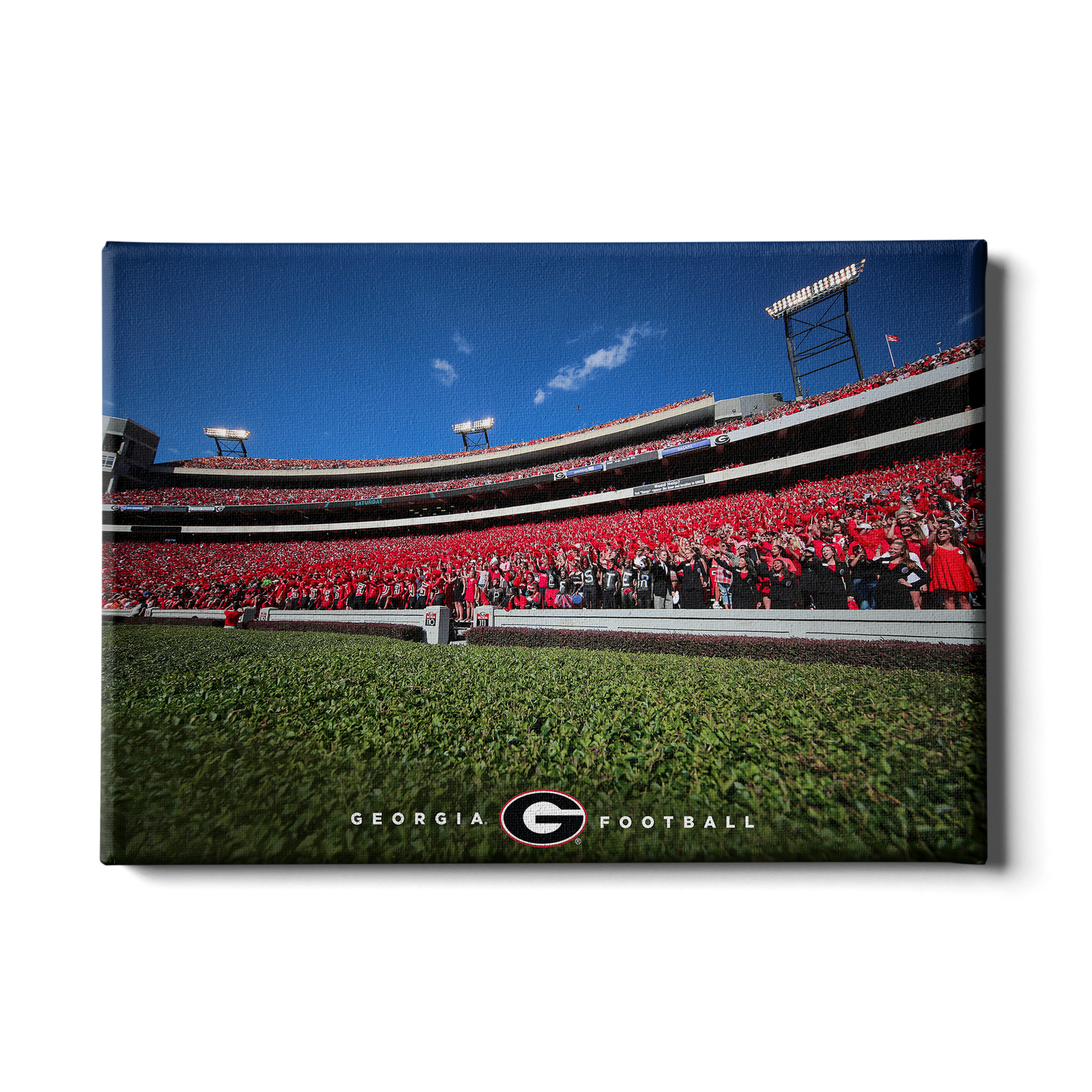 Georgia Bulldogs - Georgia Football - College Wall Art #Canvas