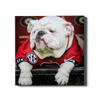 Georgia Bulldogs - Uga Chillin - College Wall Art #Canvas