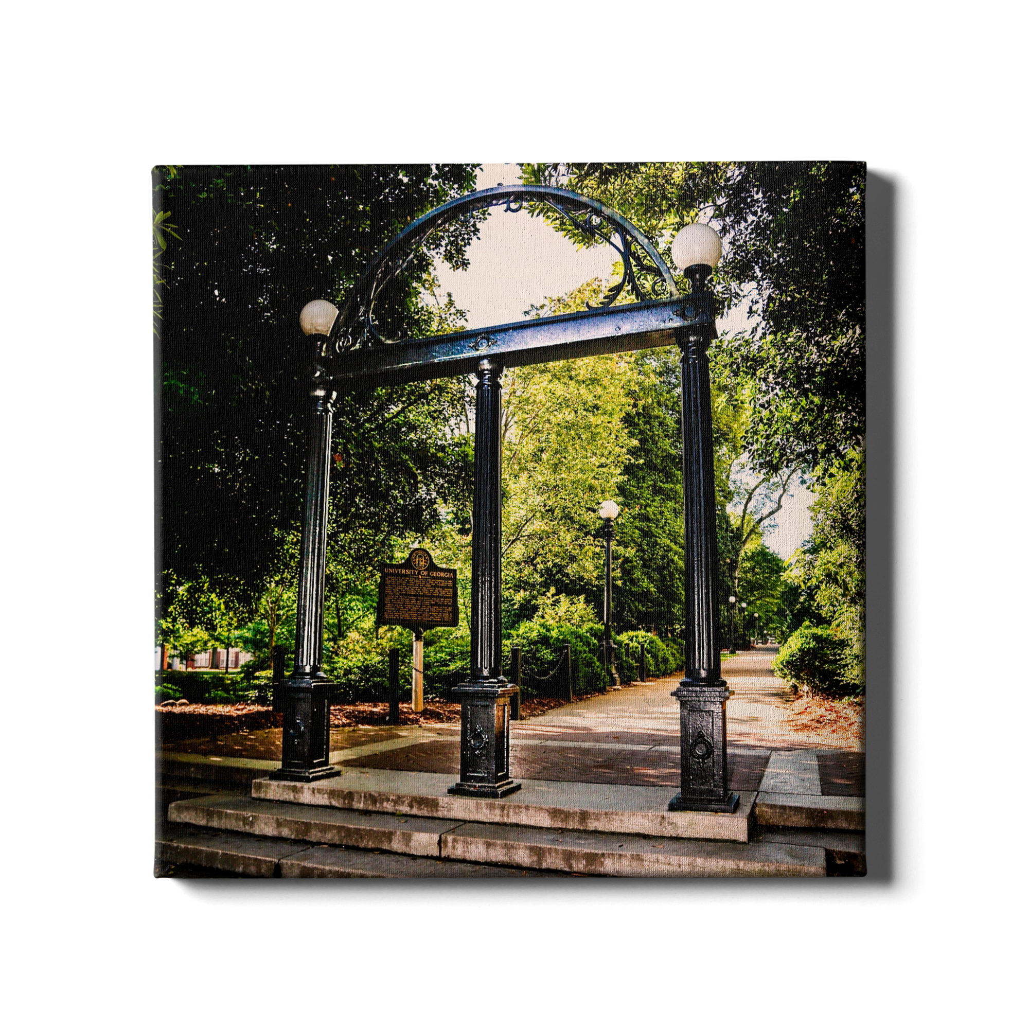 Georgia Bulldogs - The Arch - College Wall Art #Canvas