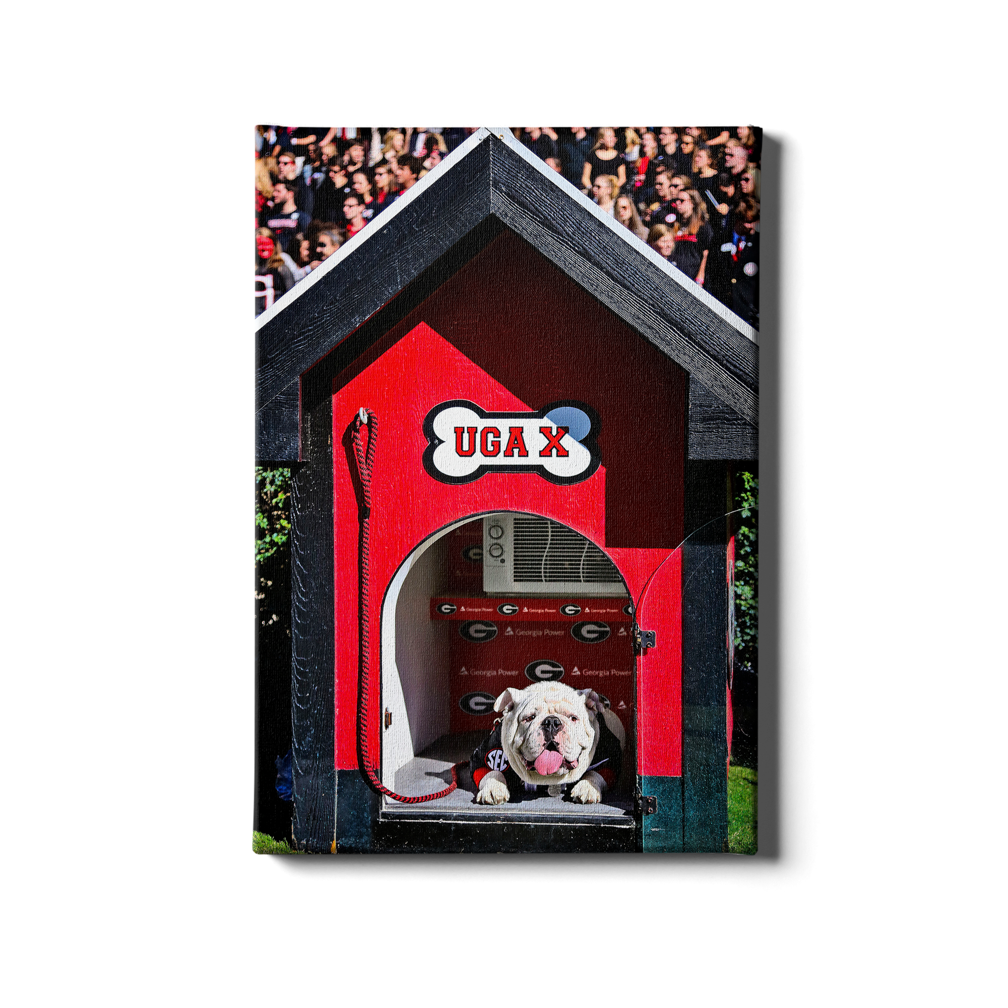 Georgia Bulldogs - Uga X in the House - College Wall Art #Canvas