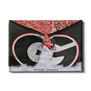 Georgia Bulldogs - Grand G Entrance - College Wall Art #Canvas