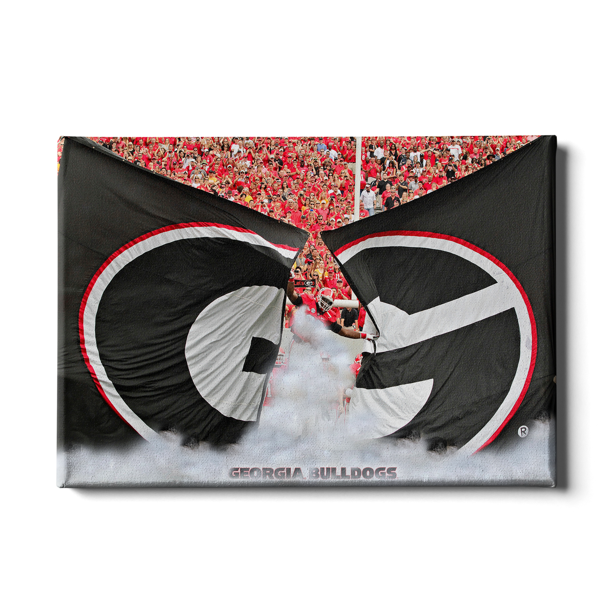 Georgia Bulldogs - Grand G Entrance - College Wall Art #Canvas