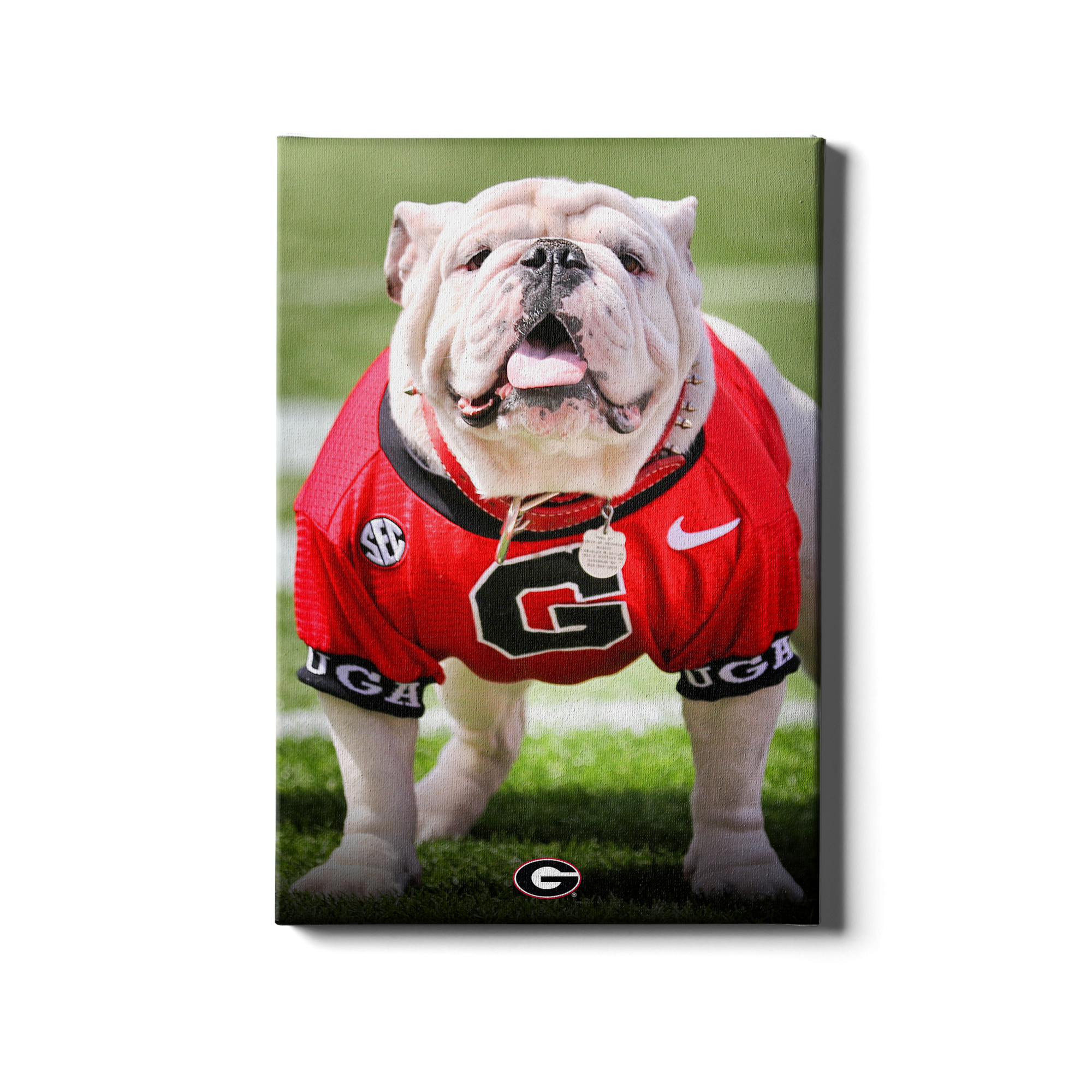 Georgia Bulldogs - Uga Poised II - College Wall Art #Canvas