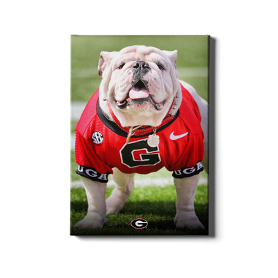 Georgia Bulldogs - Uga Poised II - College Wall Art #Canvas