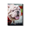 Georgia Bulldogs - Uga Portrait - College Wall Art #Canvas