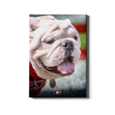 Georgia Bulldogs - Uga Portrait - College Wall Art #Canvas