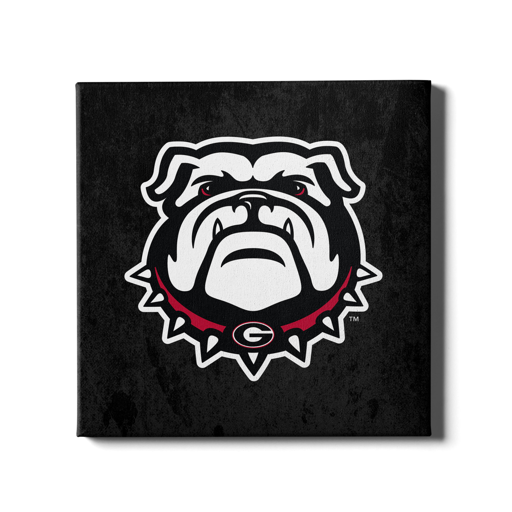 Georgia Bulldogs - Bulldog on Black - College Wall Art #Canvas