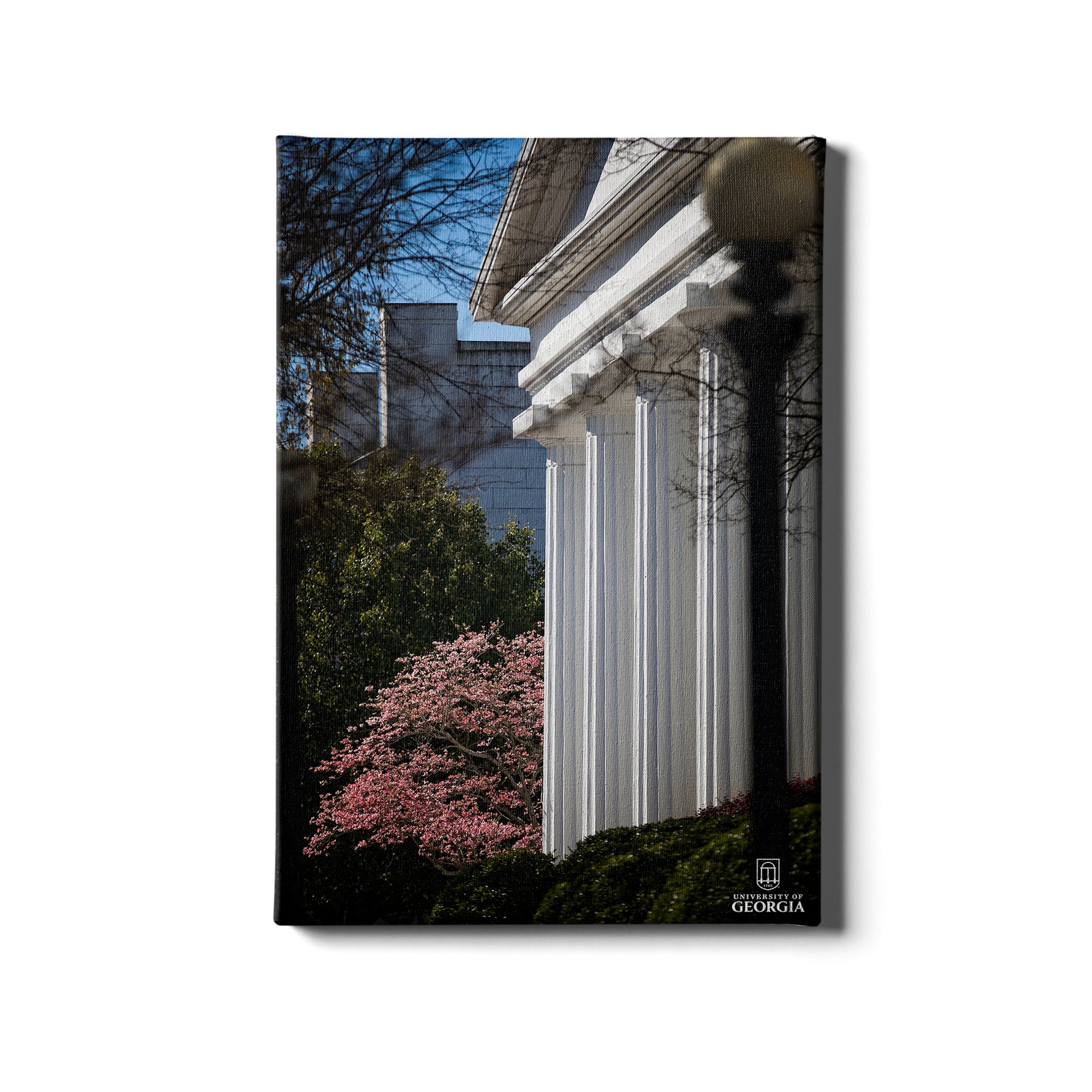 Georgia Bulldogs - Pillars of Strength - College Wall Art #Canvas