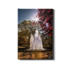 Georgia Bulldogs - The Fountain - College Wall Art #Canvas