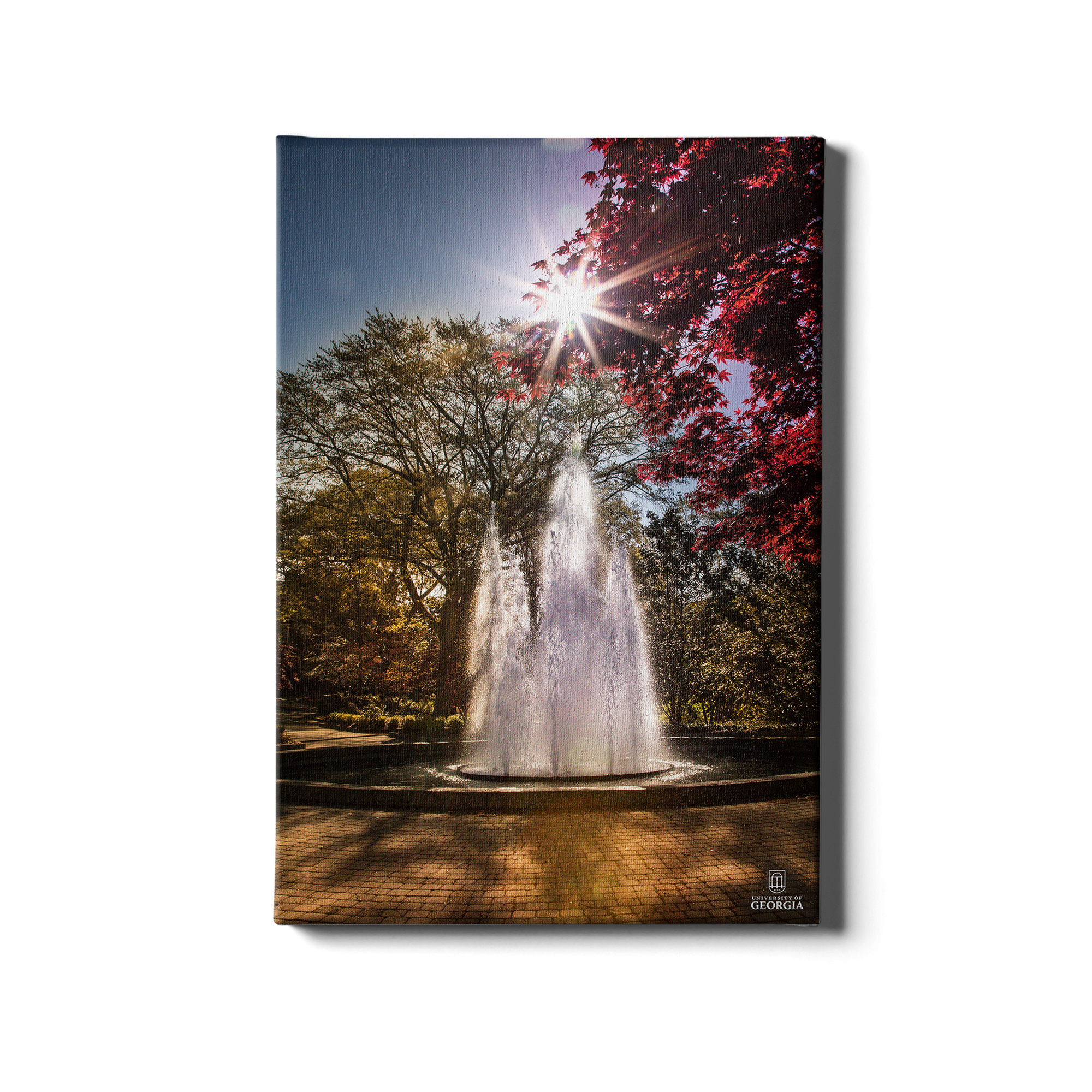 Georgia Bulldogs - The Fountain - College Wall Art #Canvas