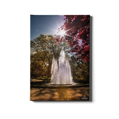 Georgia Bulldogs - The Fountain - College Wall Art #Canvas