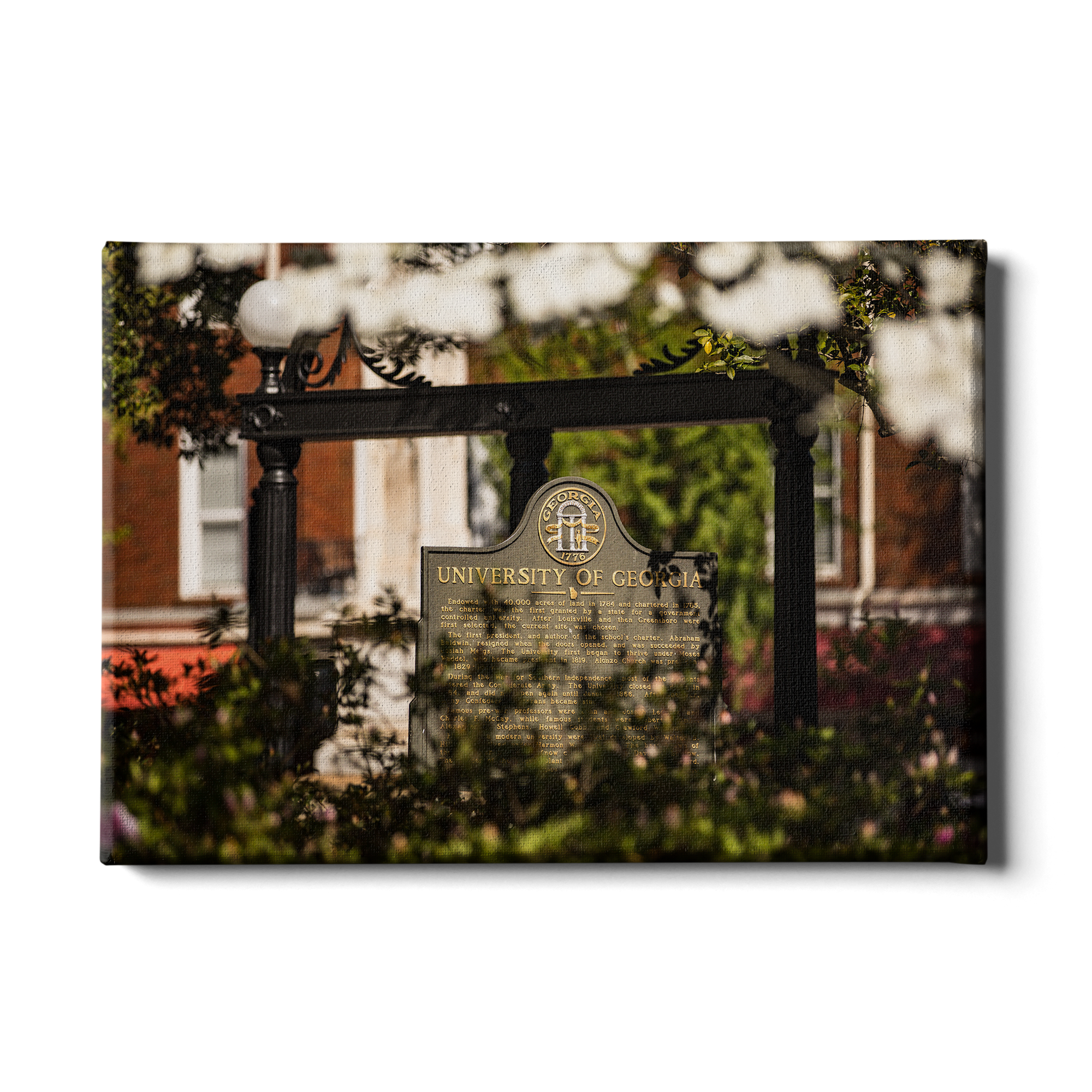 Georgia Bulldogs - Looking Through the Arch - College Wall Art #Canvas