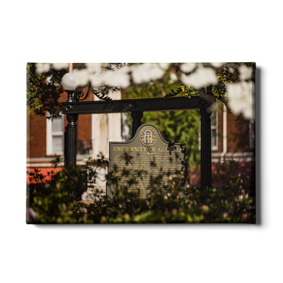 Georgia Bulldogs - Looking Through the Arch - College Wall Art #Canvas