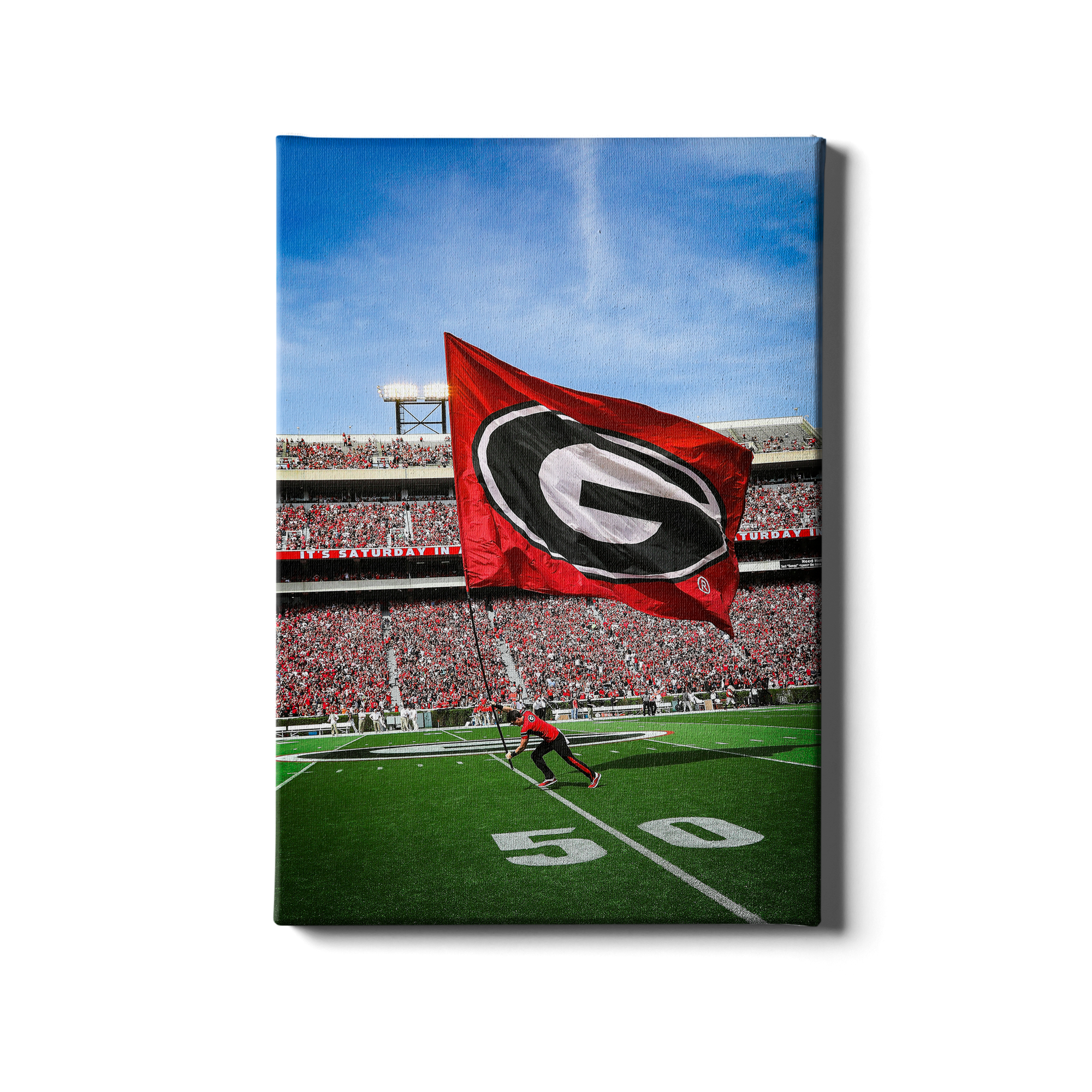 Georgia Bulldogs - The G Flag - College Wall Art #Canvas